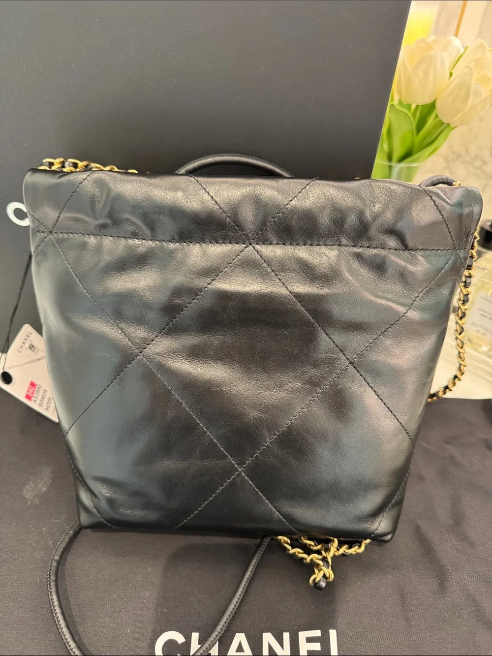 Chanel Mini 22 Cruise Collection